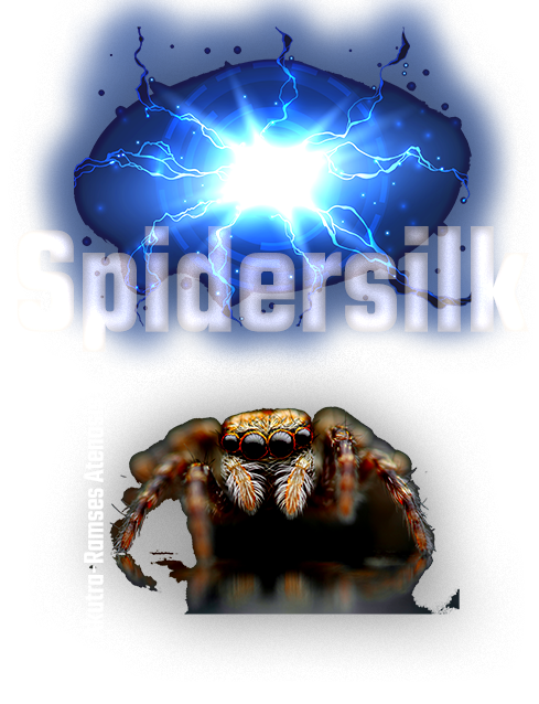 SpiderSilk front cover