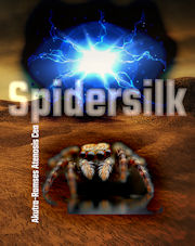 SpiderSilk front cover image